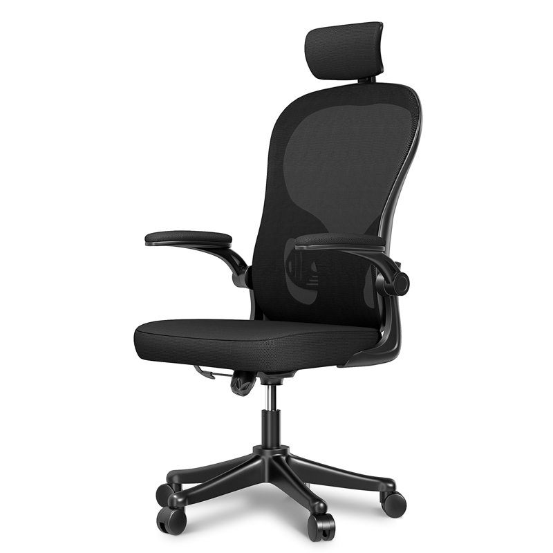 Inbox Zero Kanyon Ergonomic Mesh Task Chair Wayfair
